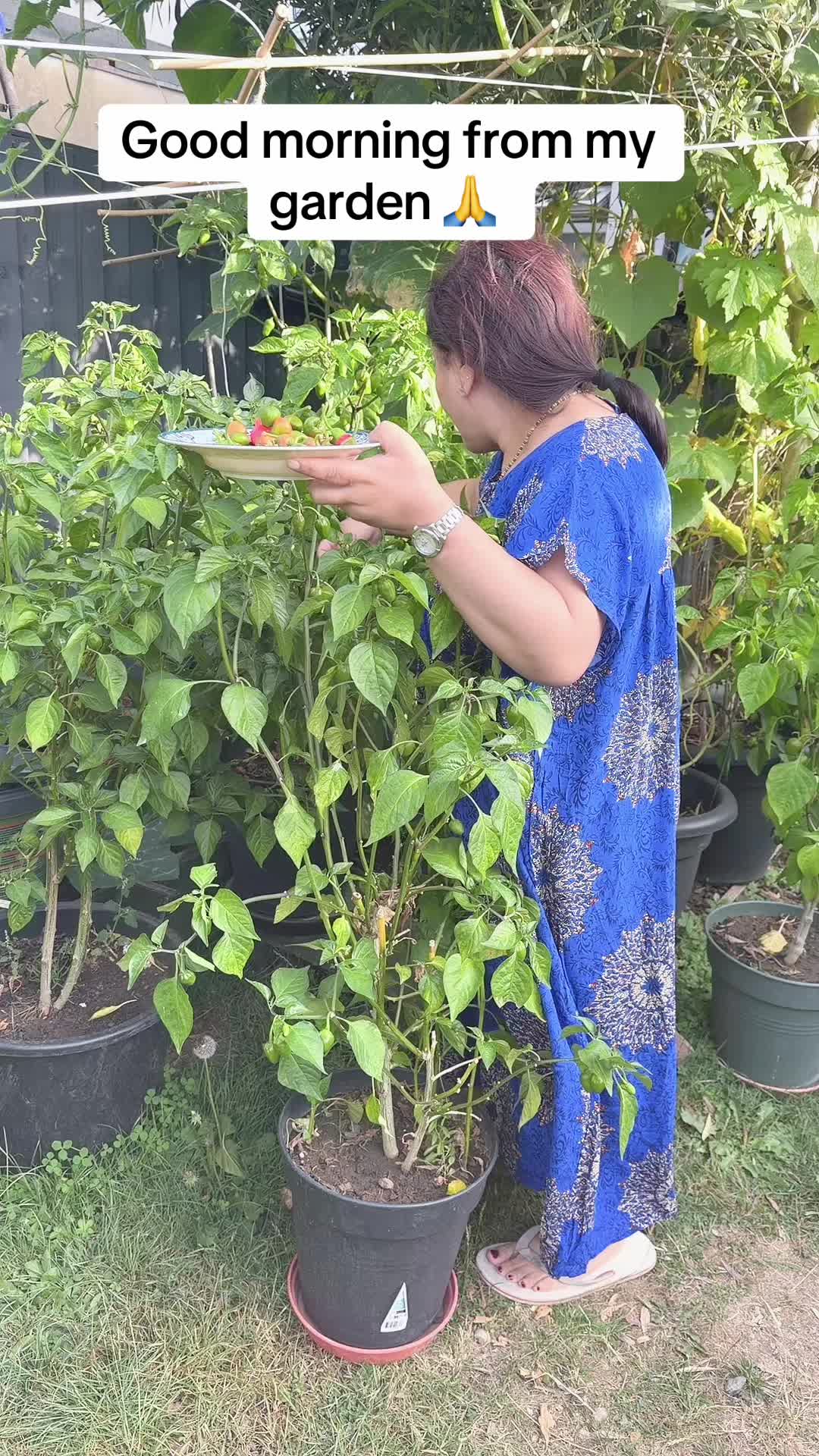 @guddu_gurung