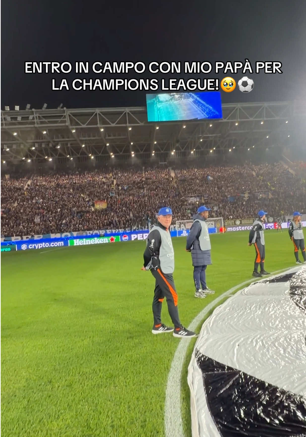 @Rimoldigno