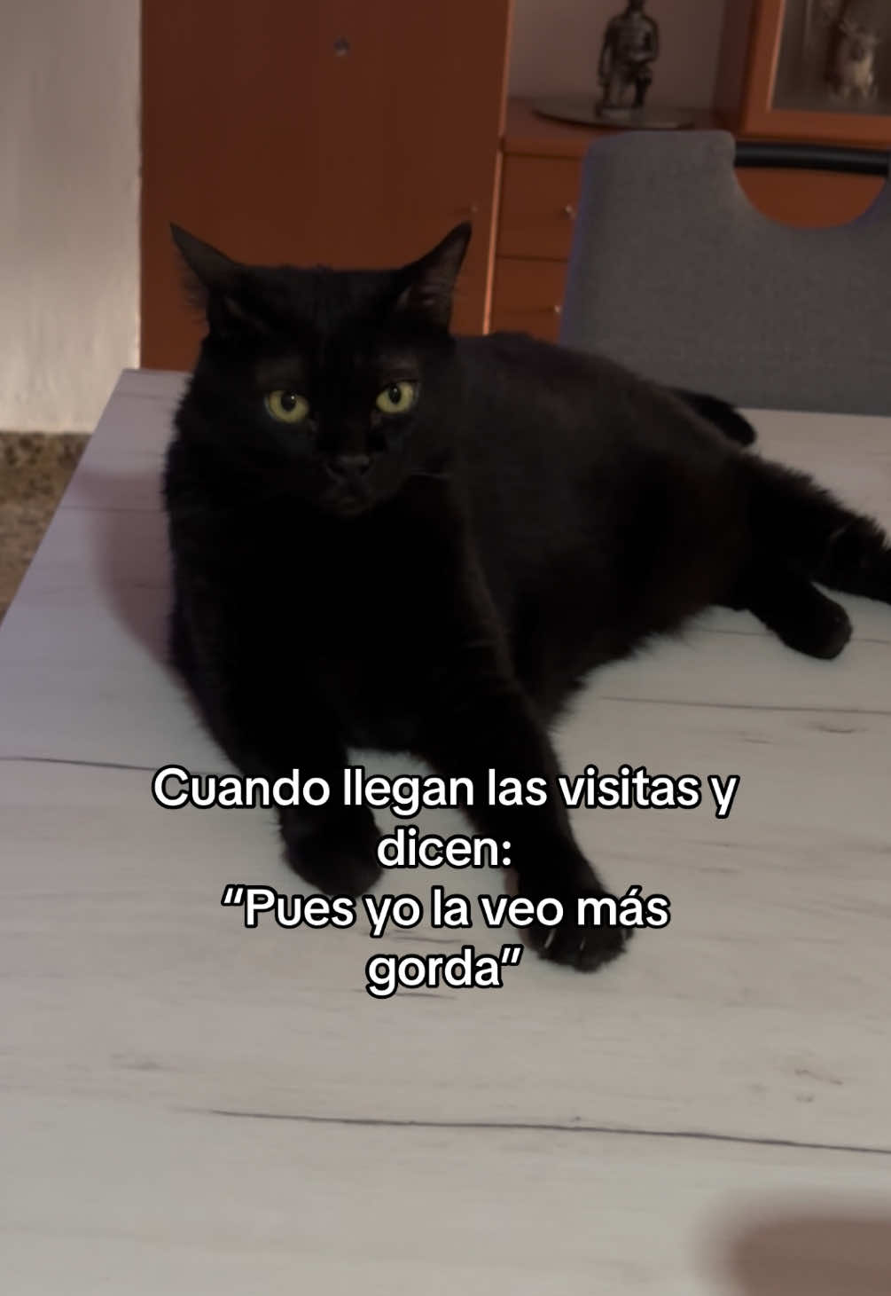 @BlackCatsMatter