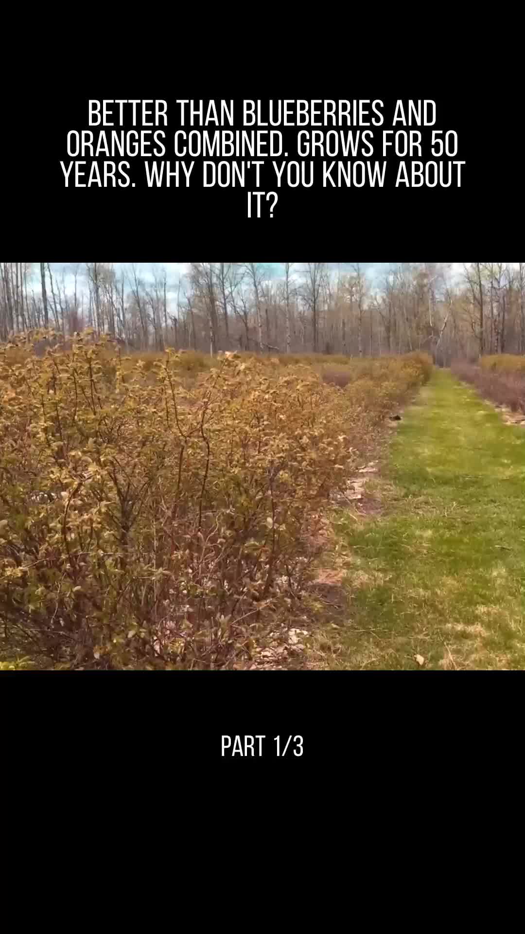 @user32331650853717