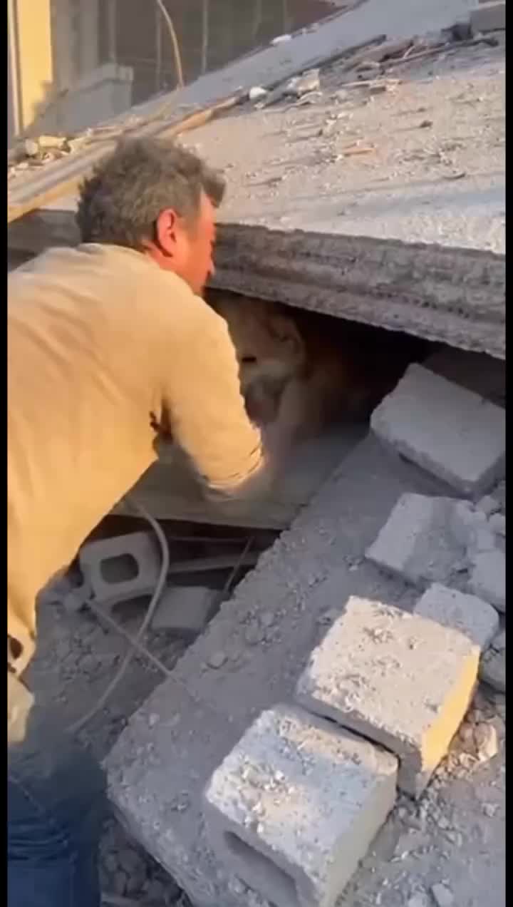 @animalslife2026