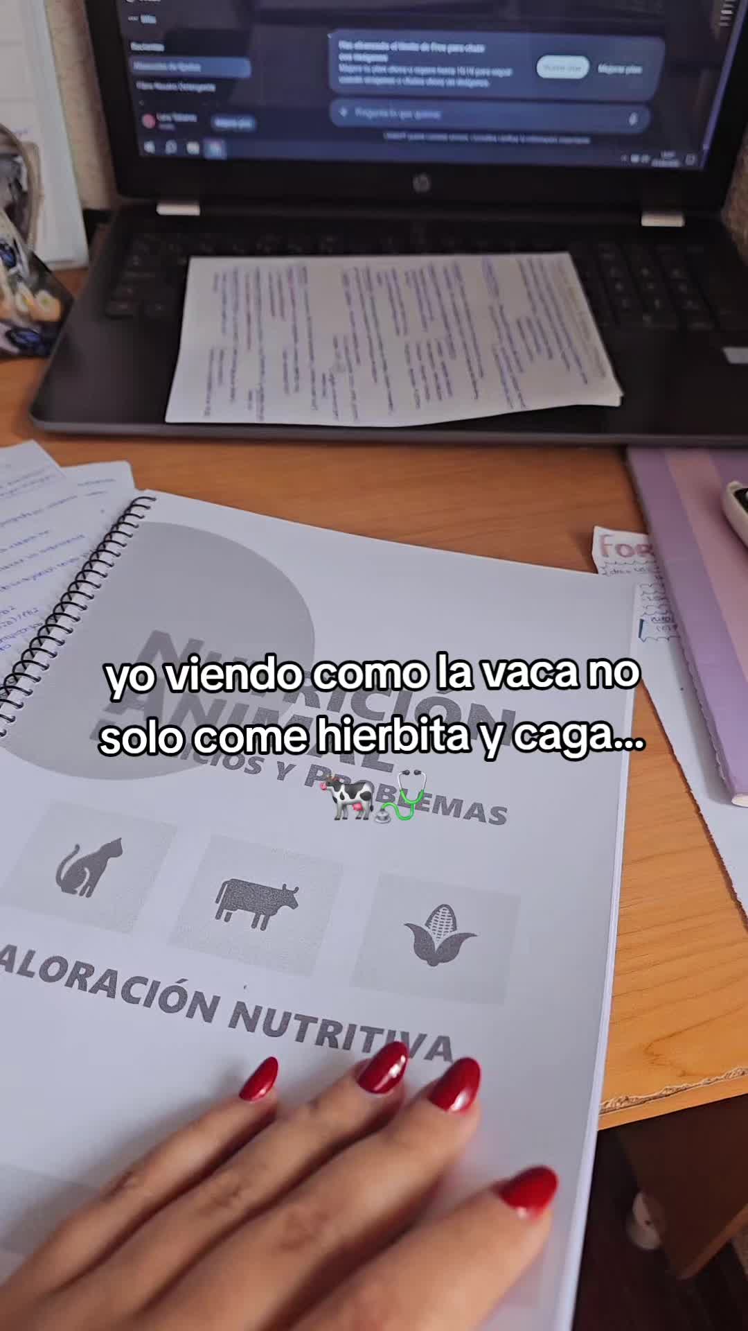 @Lara Tabares 🩺🐄
