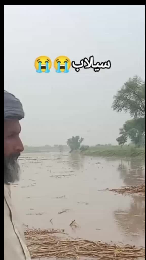 @جام Zahid