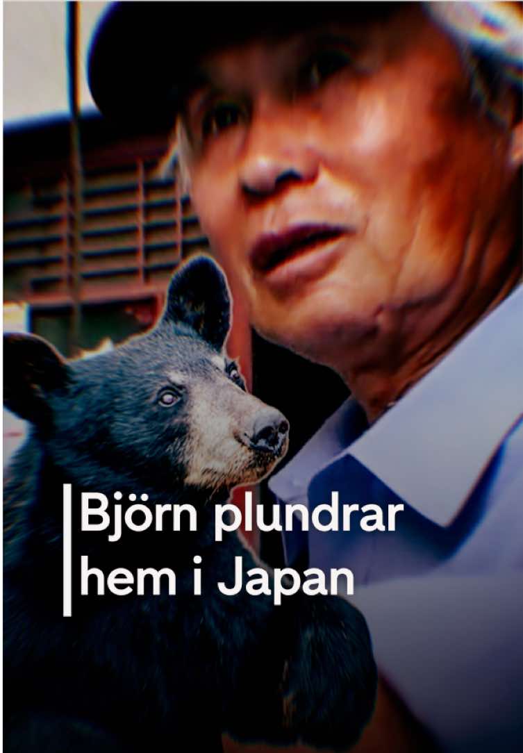 @TV4 Nyheterna