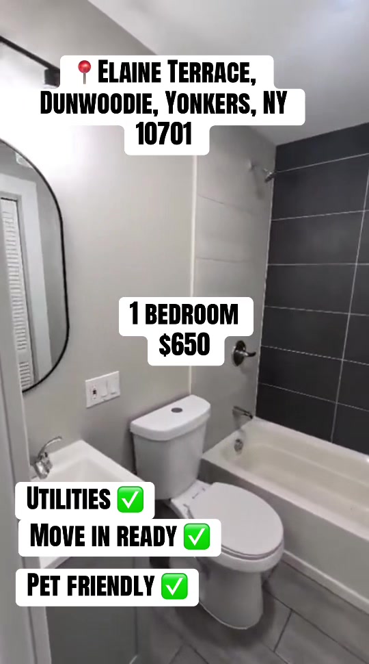 @Daily Rental Finds