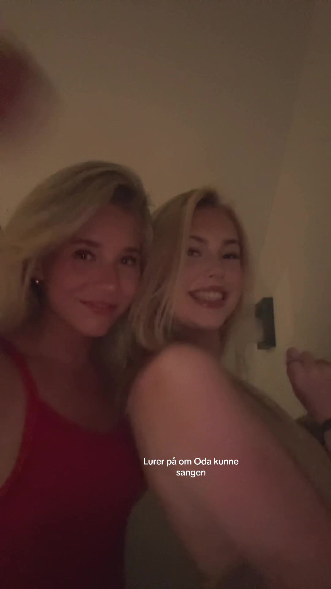 @sofieblondin
