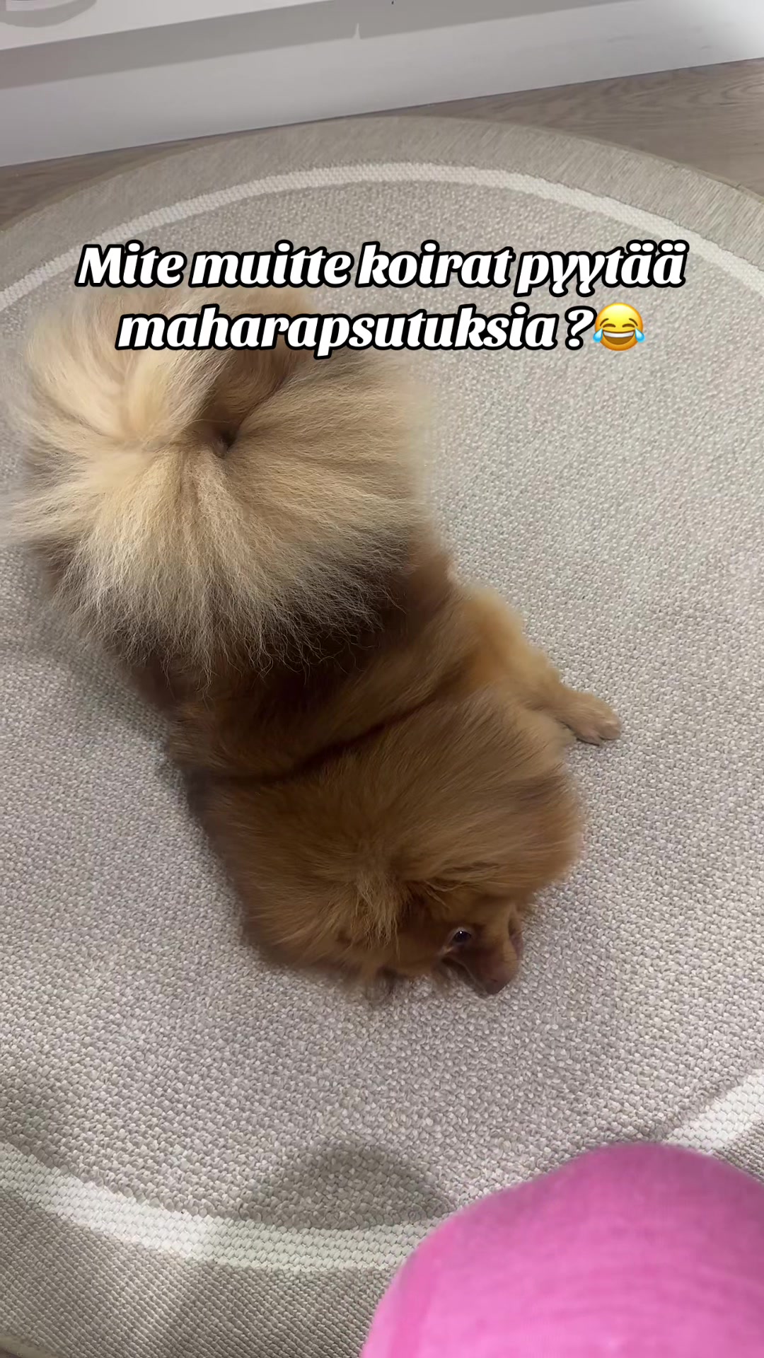 @Vimpulano