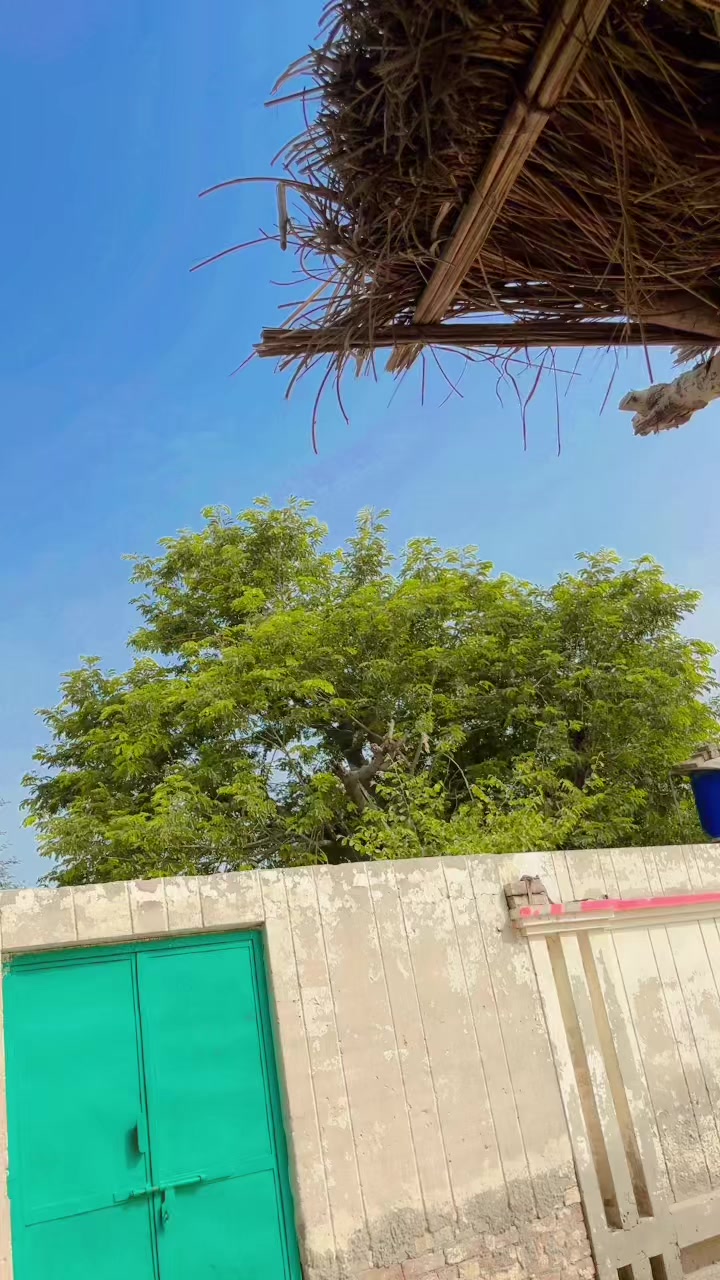 @Rauf Panwar