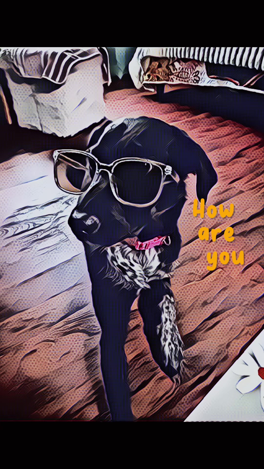 @xdtini