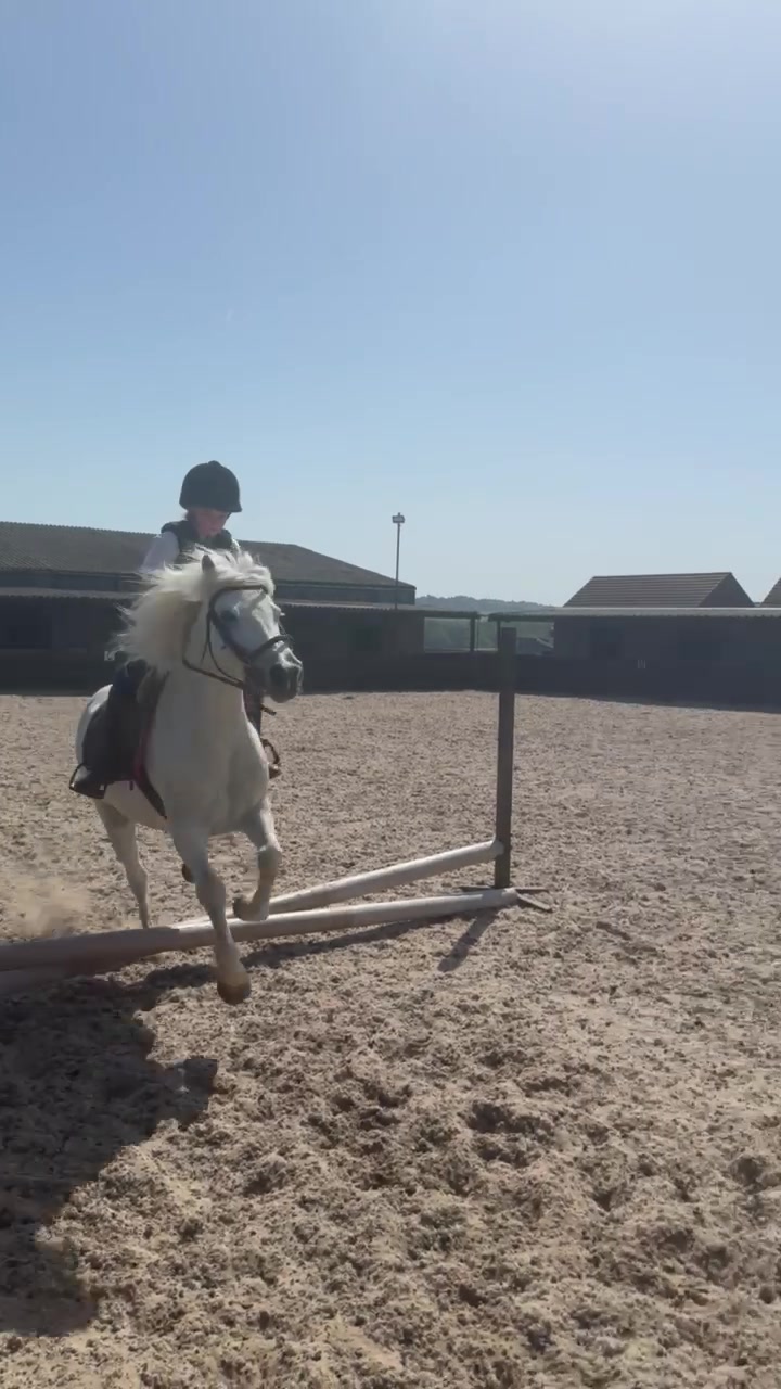 @LottiesHorseAdventures🦄🐴