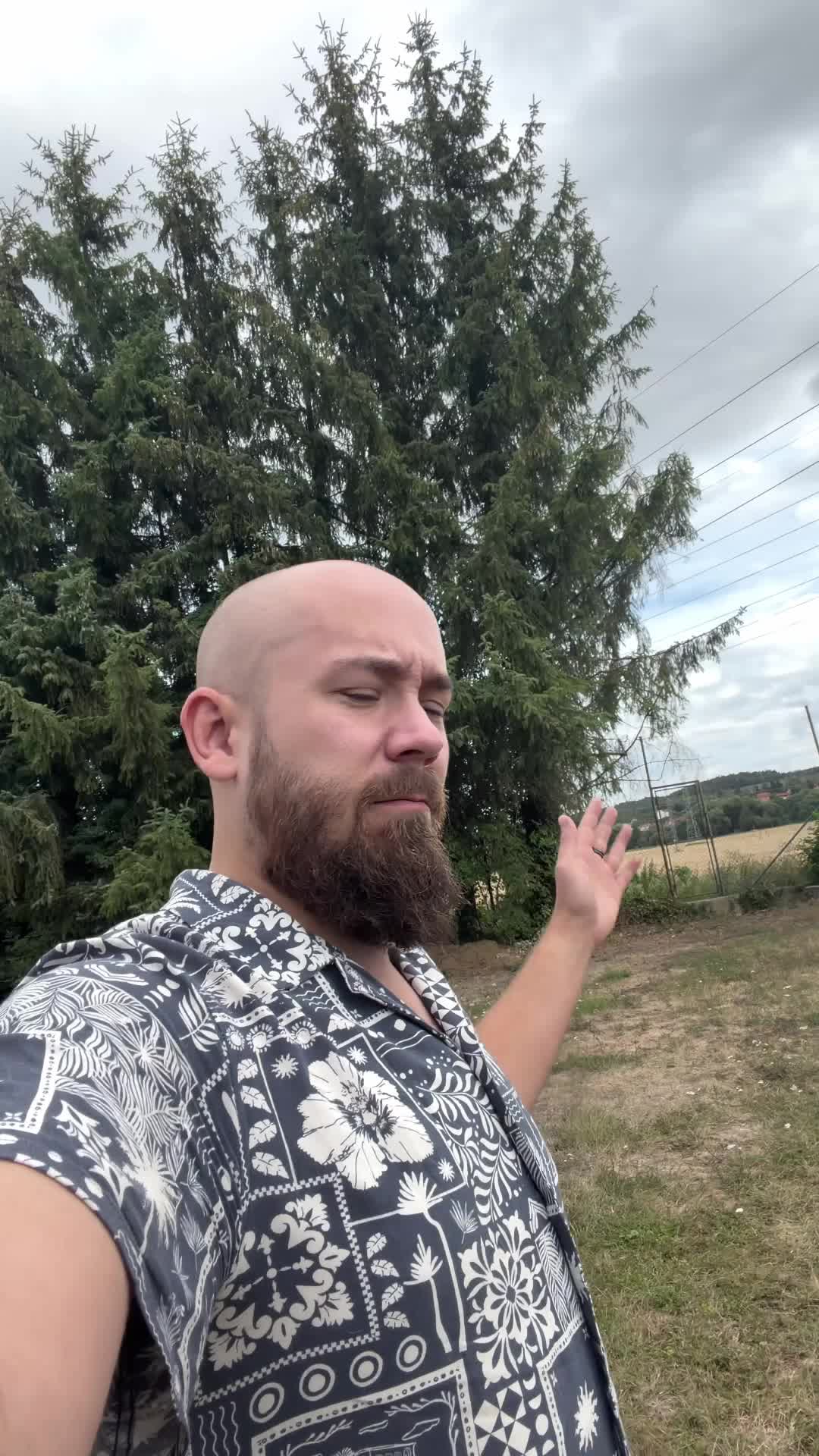 @David Škarda