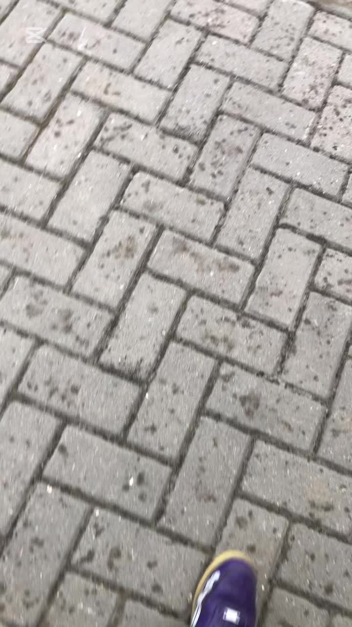 @королевский ВлаDICK XVII 