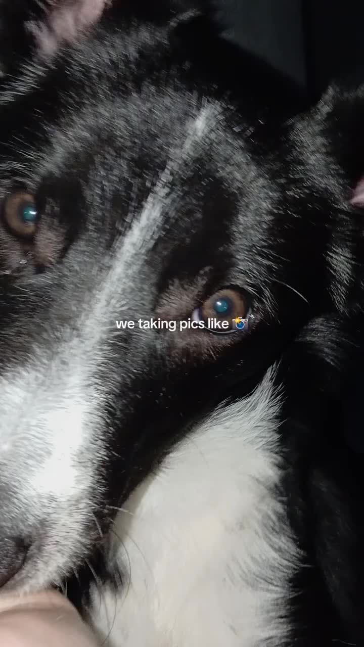 @Dannii๐๐ค๐