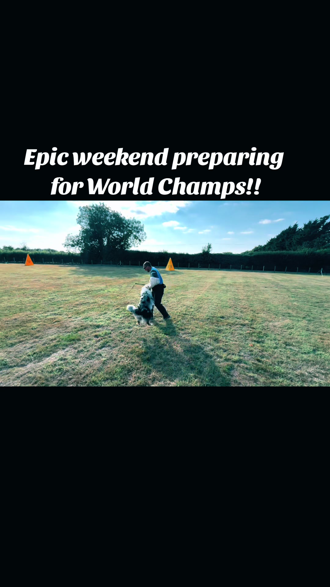@thedogsportscoach