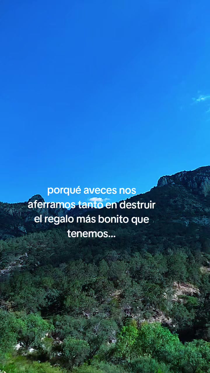 @🌸LizAr🌸