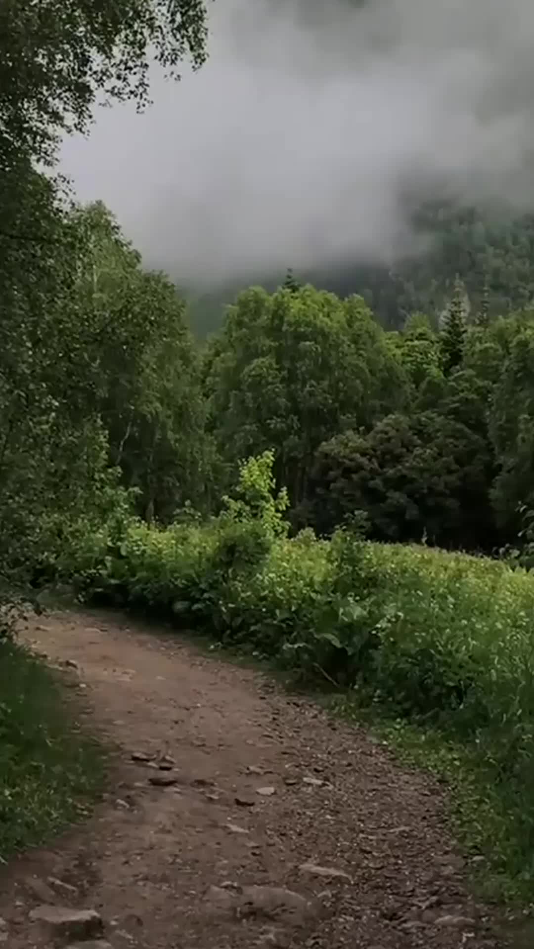 @hefxtom24433464