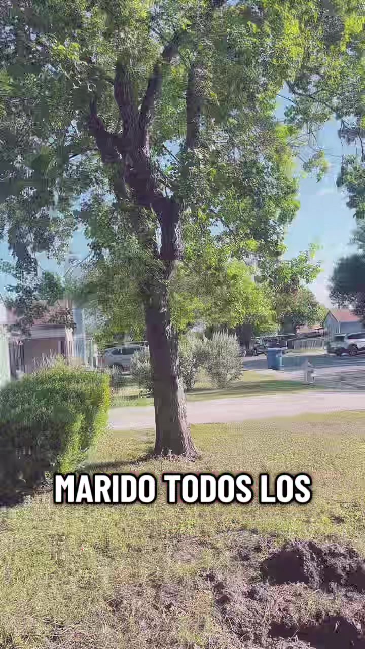 @🍀Masther Tok☘️🌳🌏