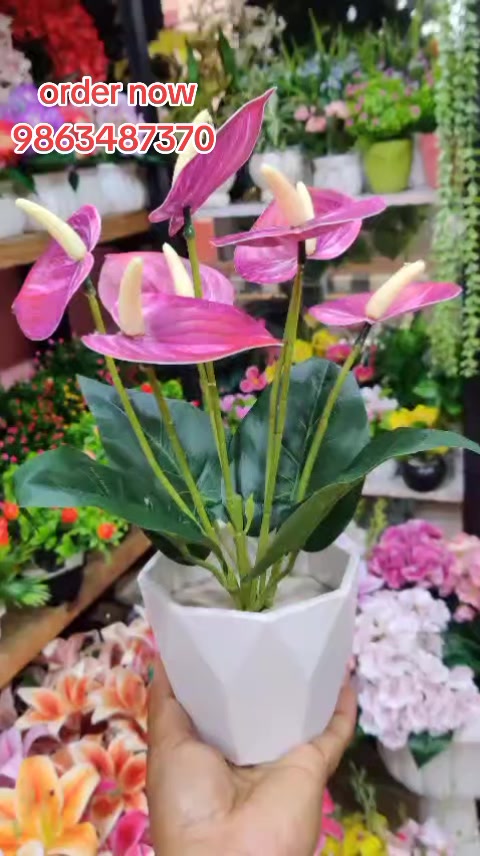 @Flora_p0int-dhumbarahi