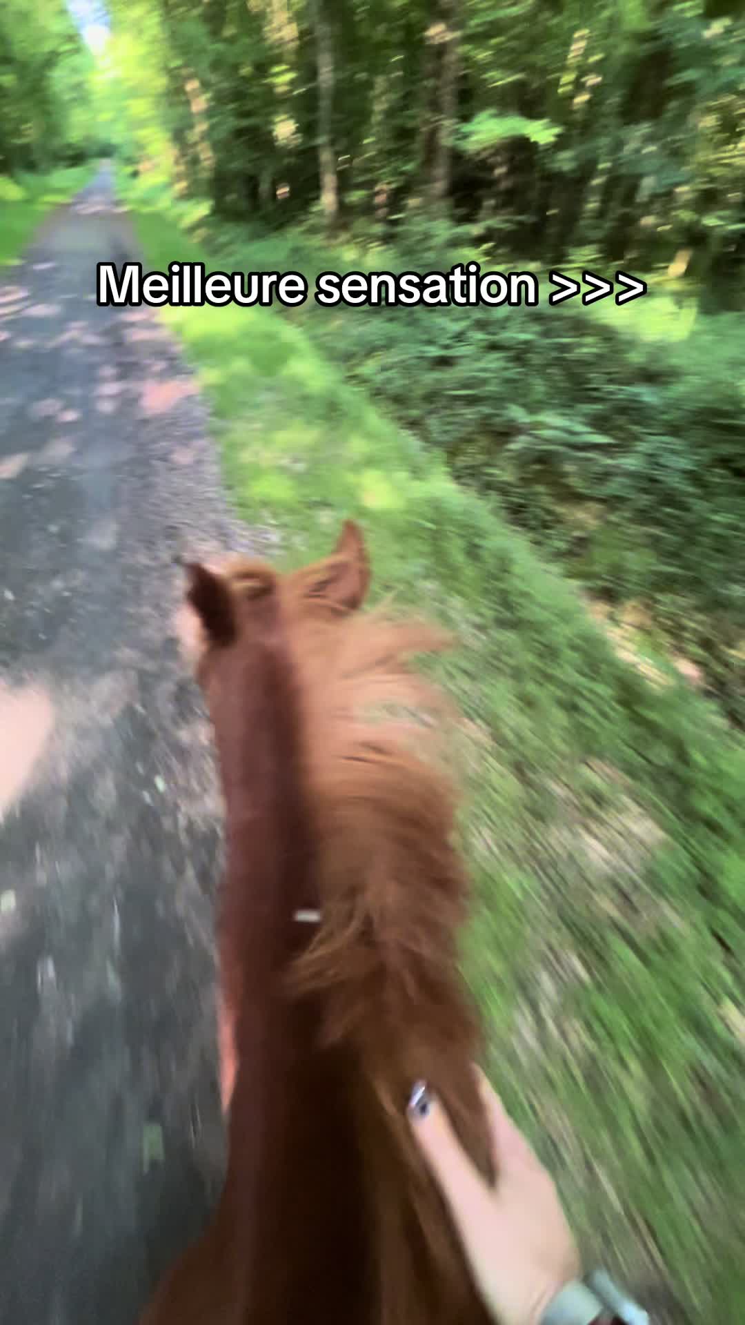 @Jade et Azur