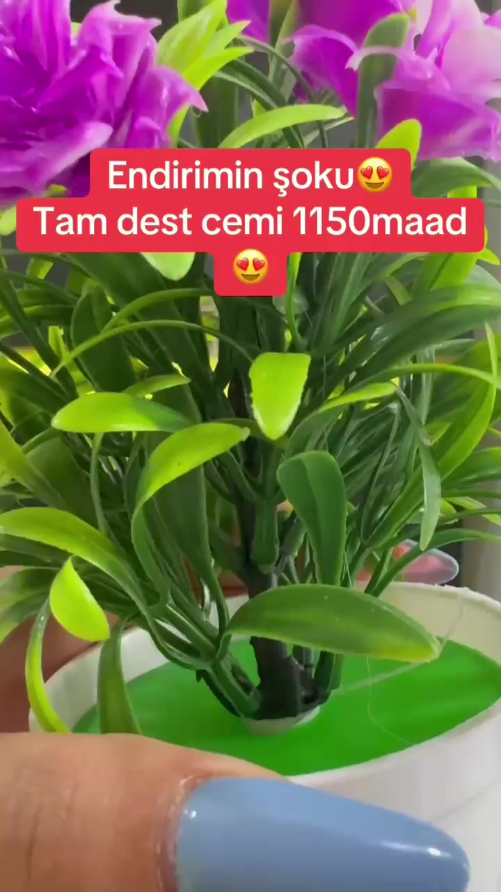 @NiEl.sofa
