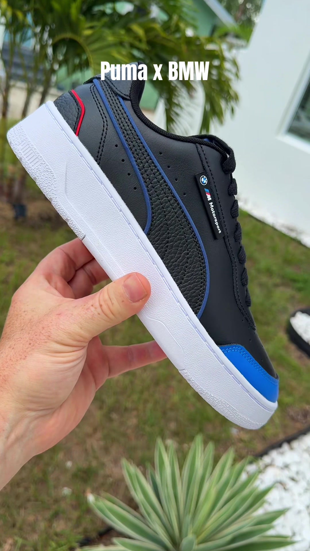 @Joe Deals