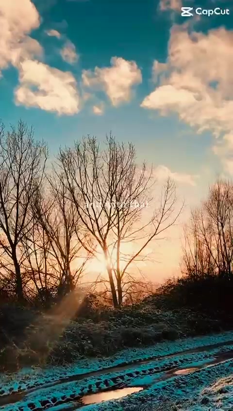 @Daniel92