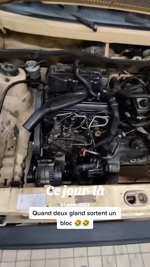 @BadLuckDemon🚧🔨🔊