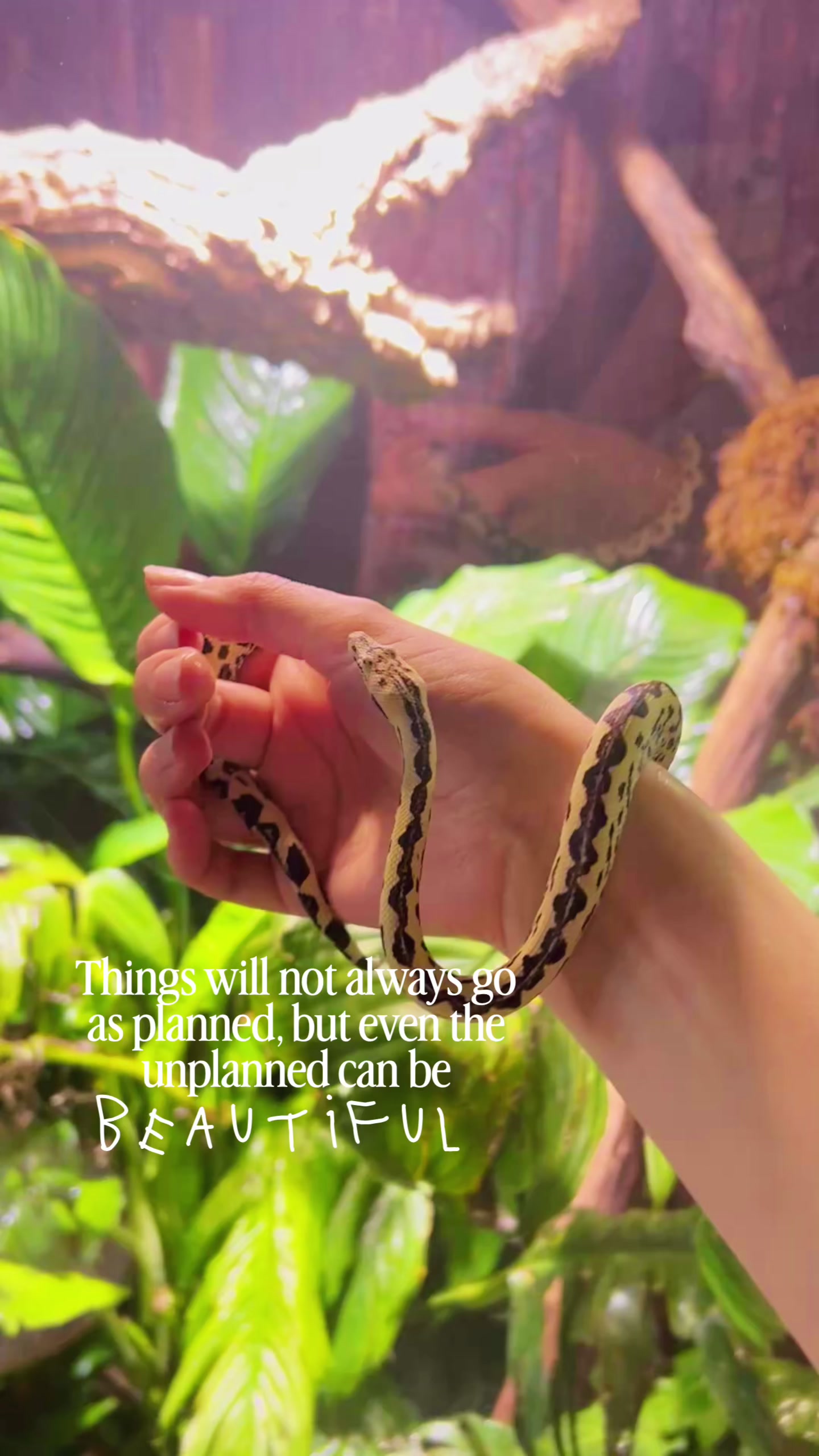 @reptilbewusst