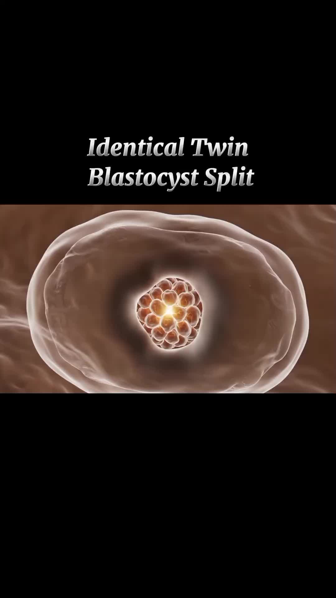 @Pregnancy Info