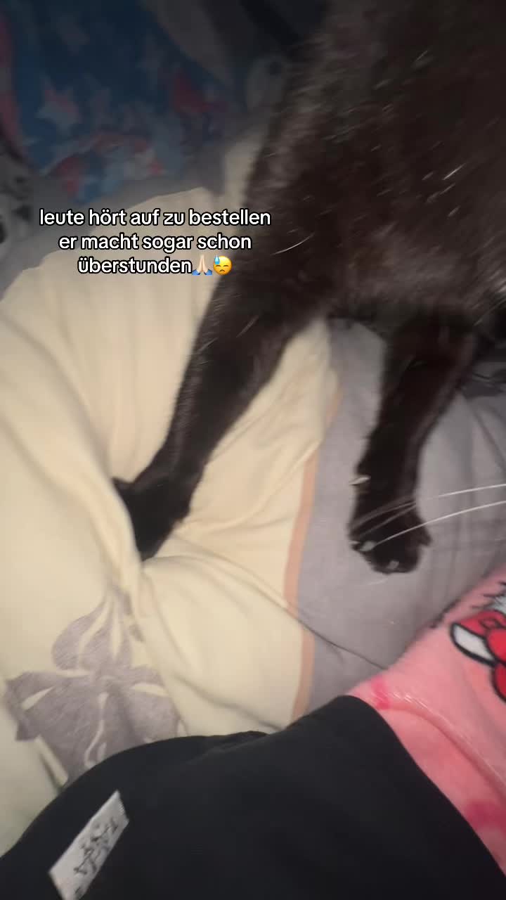@💤