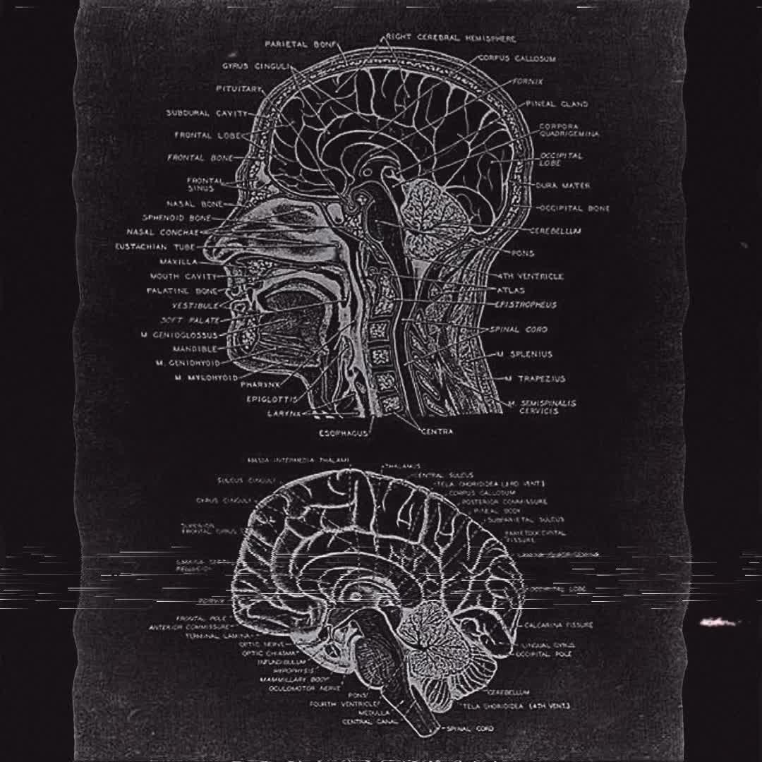 @BrainShift