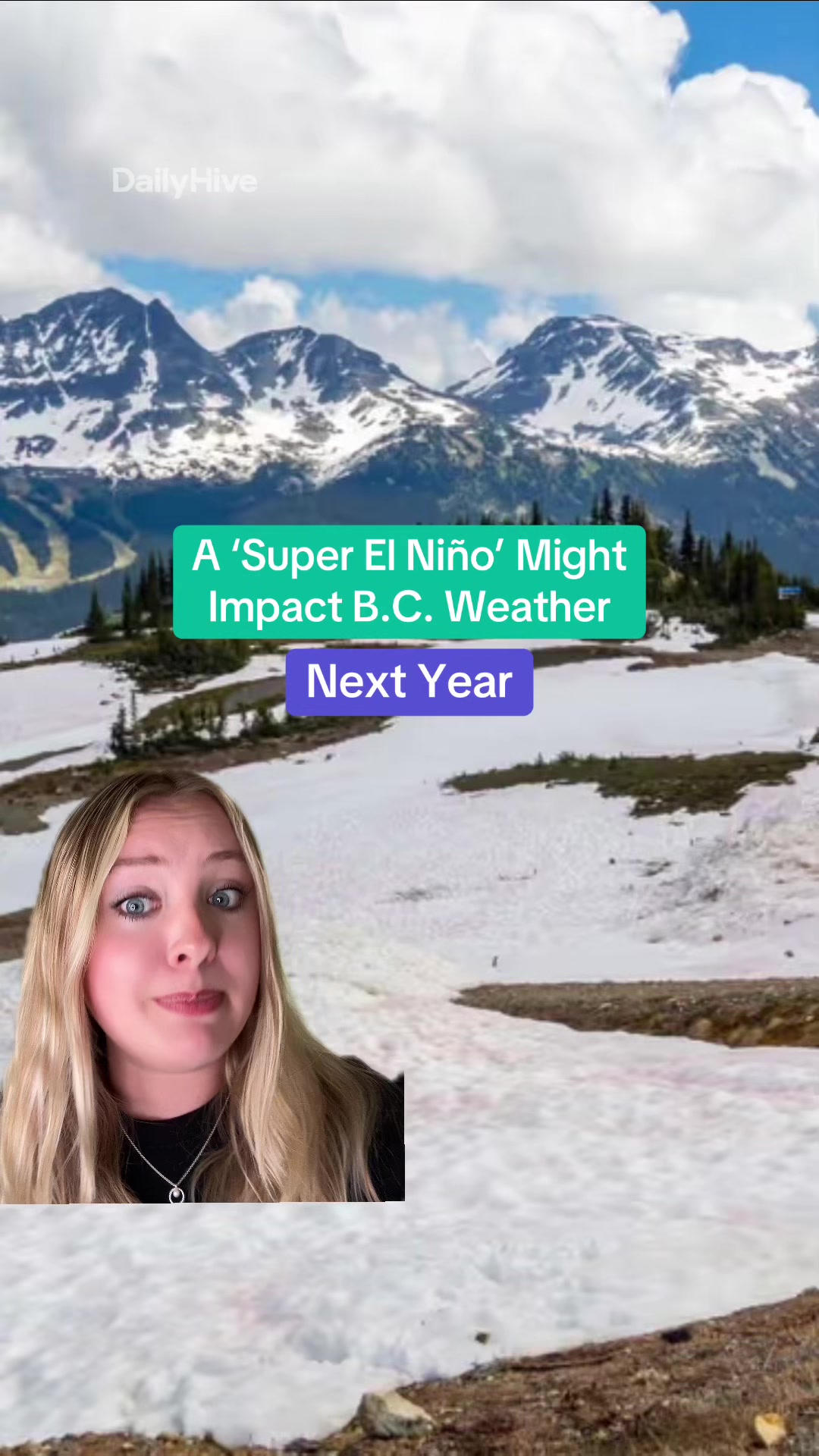 @dailyhivevancouver