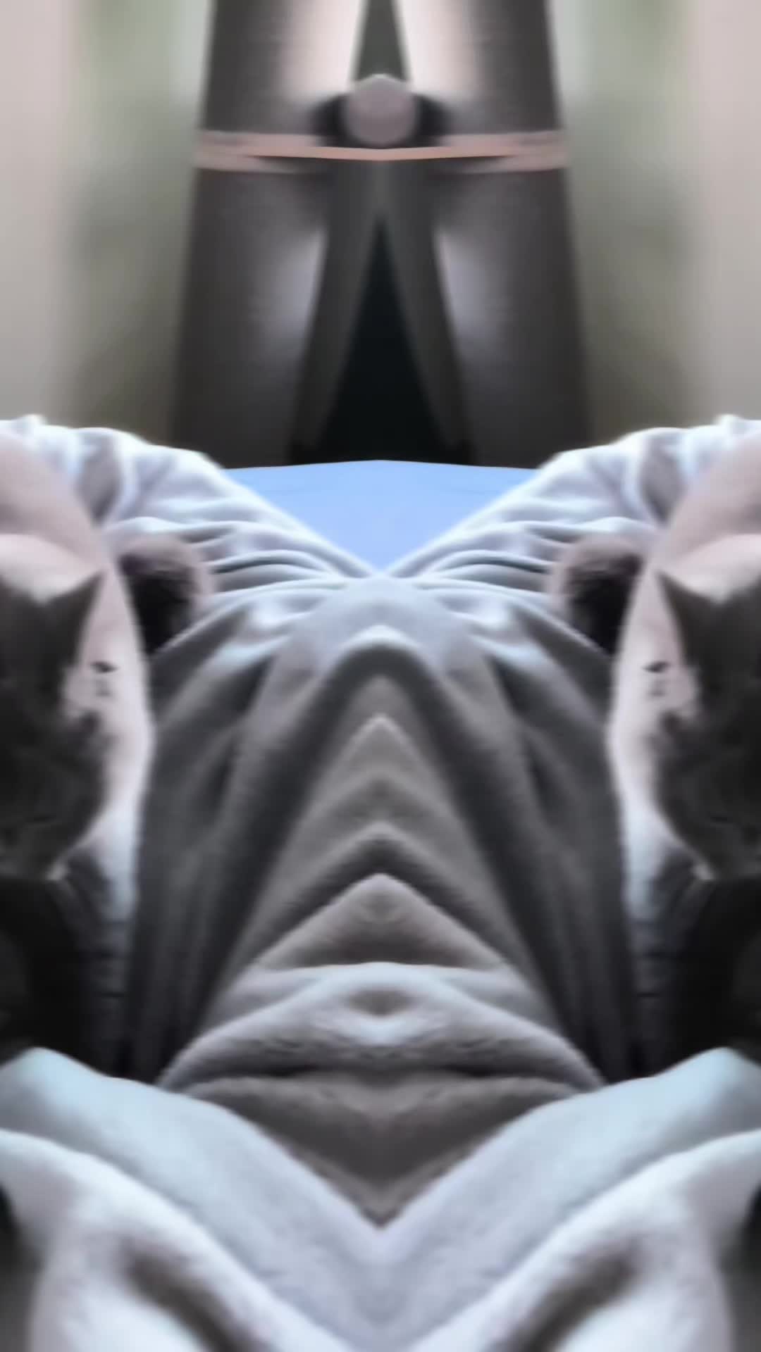@Mateja Lang Kordiš 🤍🩵