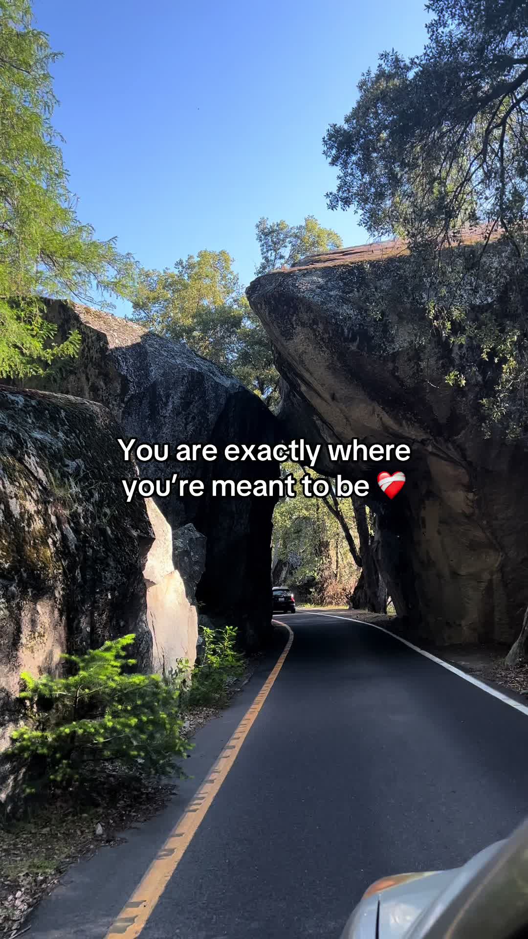 @Traveling Undocu | Gabe