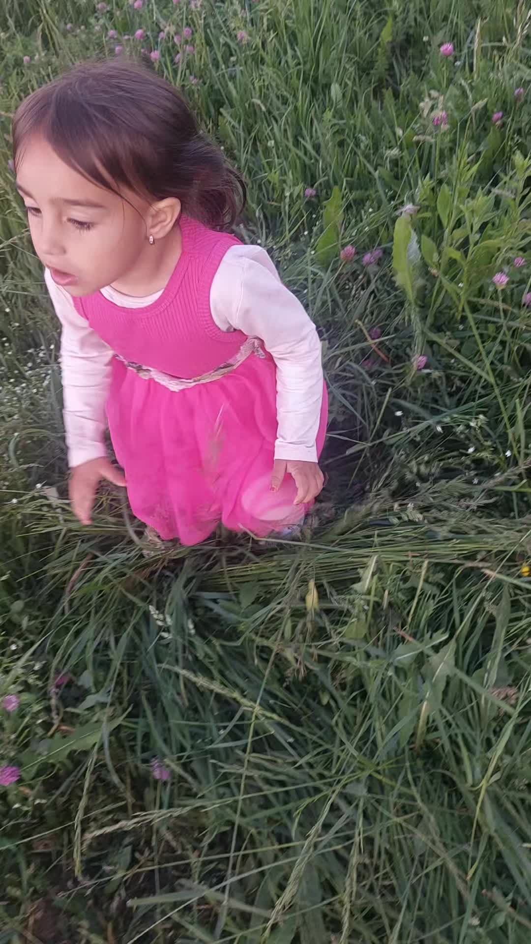 @călin