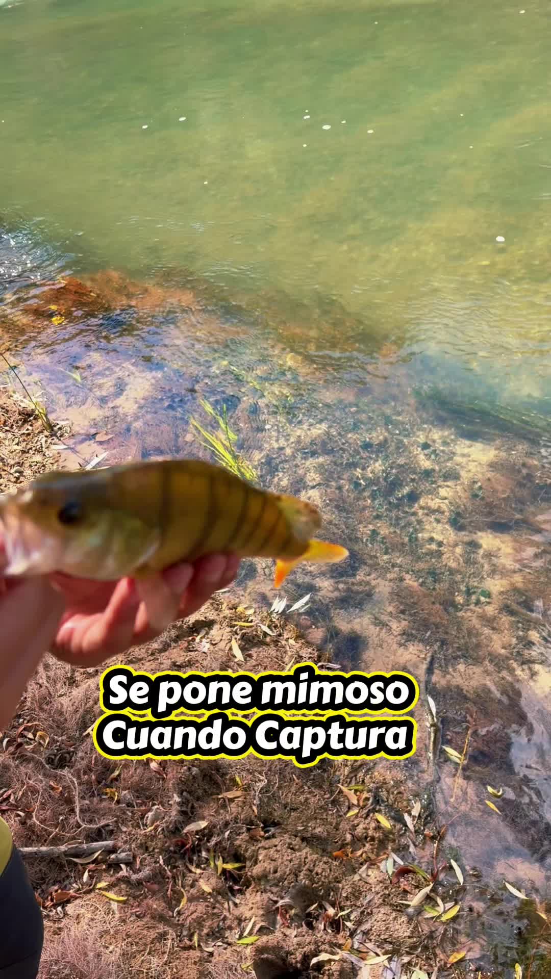 @Mili García y familia ☀️