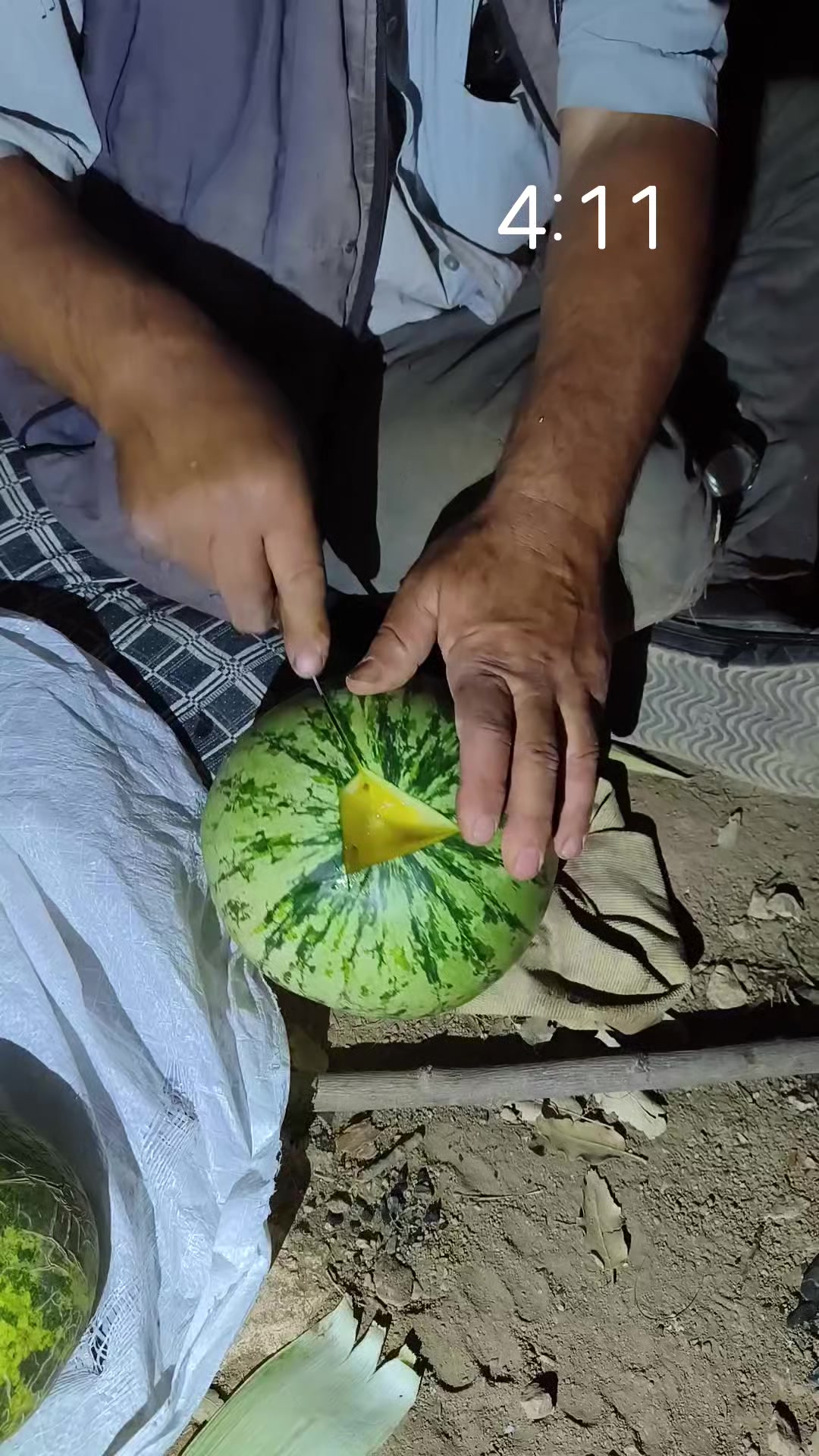 @🍁DOĞA ADAMI🍁
