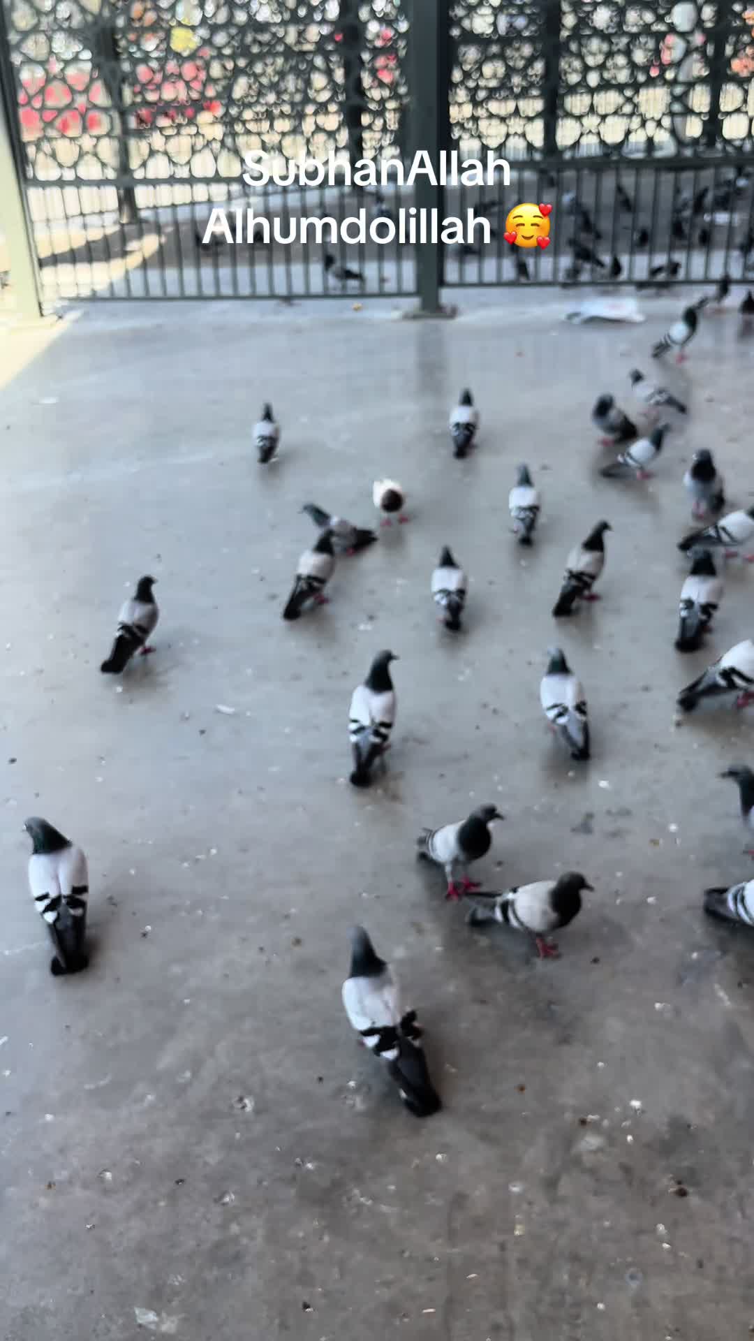 @eesa364