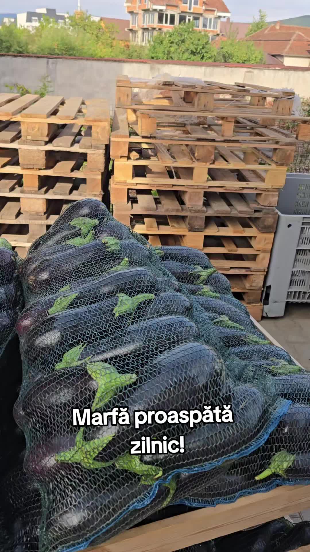@Faze Farm