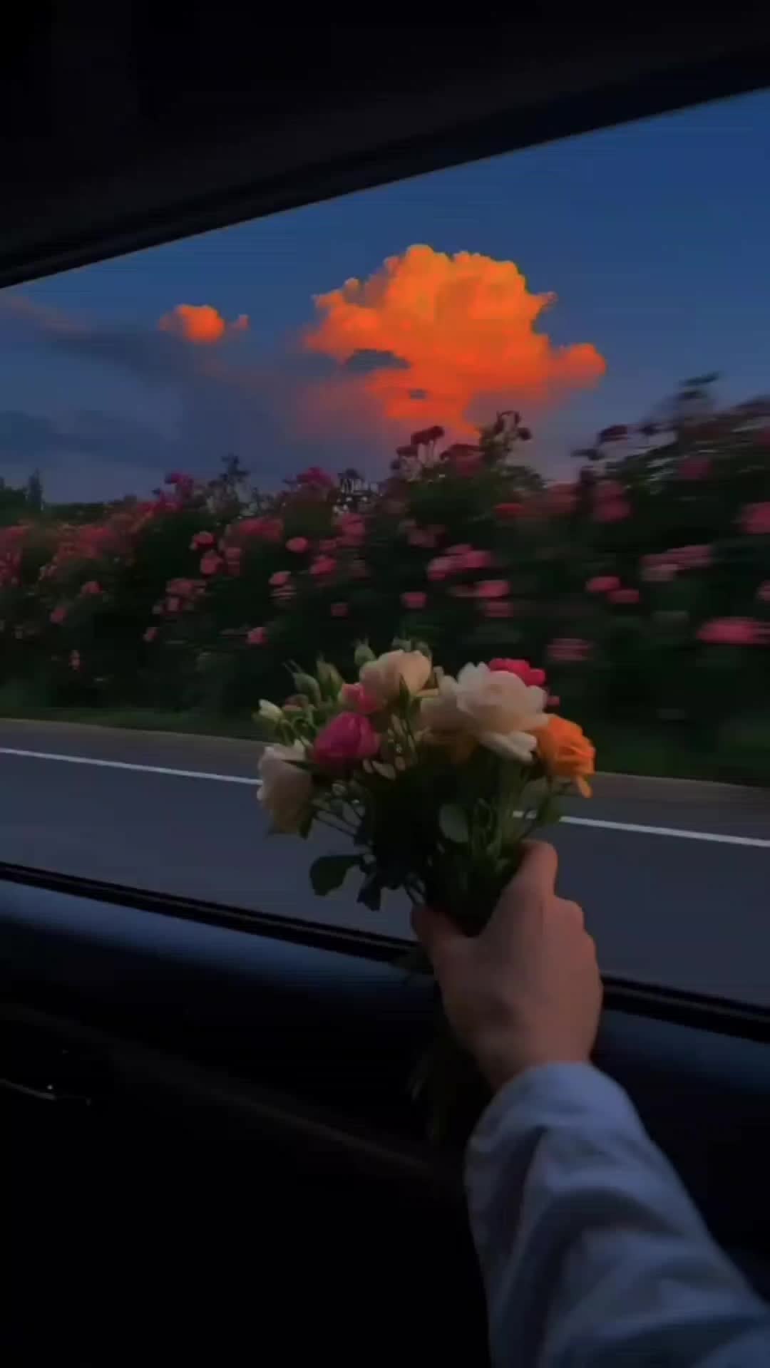 @ᗩ&alpha;ѕ&upsilon; Ɩуя&iota;cѕ...