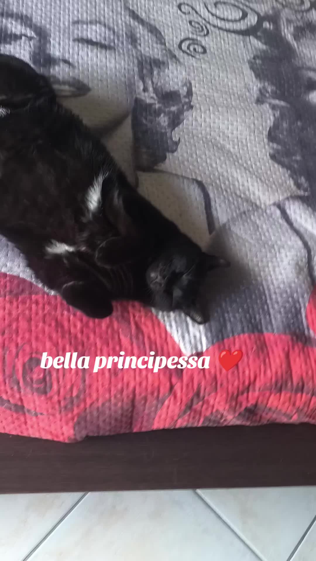 @Pina