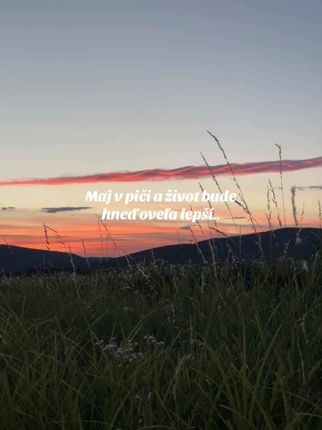 @🦋niky_nikita 🦋