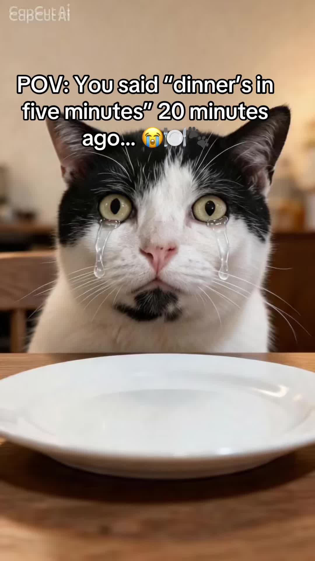 @crazycatladyxfour