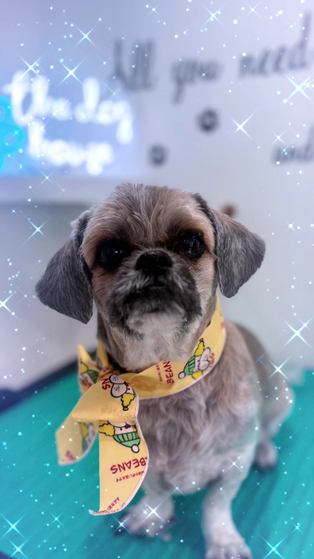 @PamperedPaws