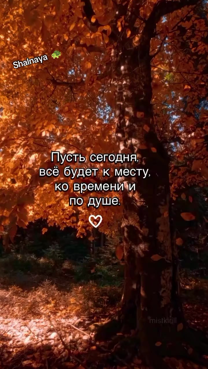@Шальная 🐢🐢🐢