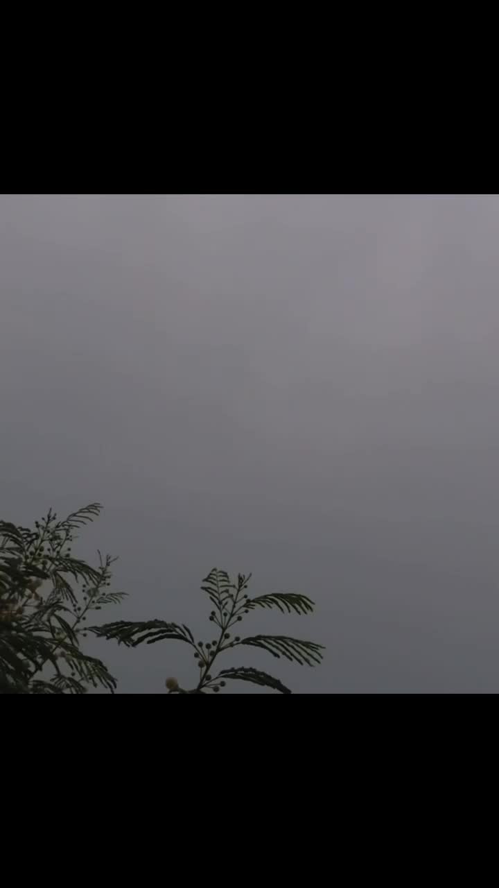 @VisionaryEdits