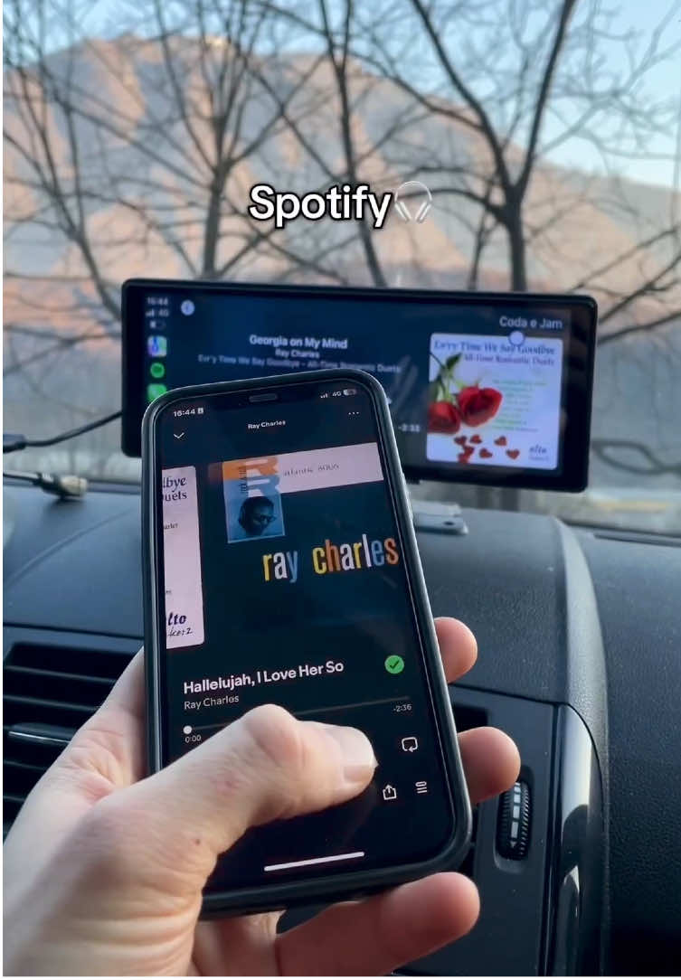 @CarPlay ๐ฎ๐น