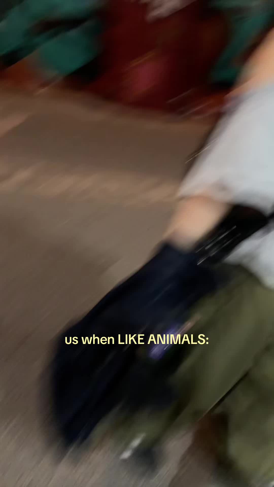@jasemin⁷