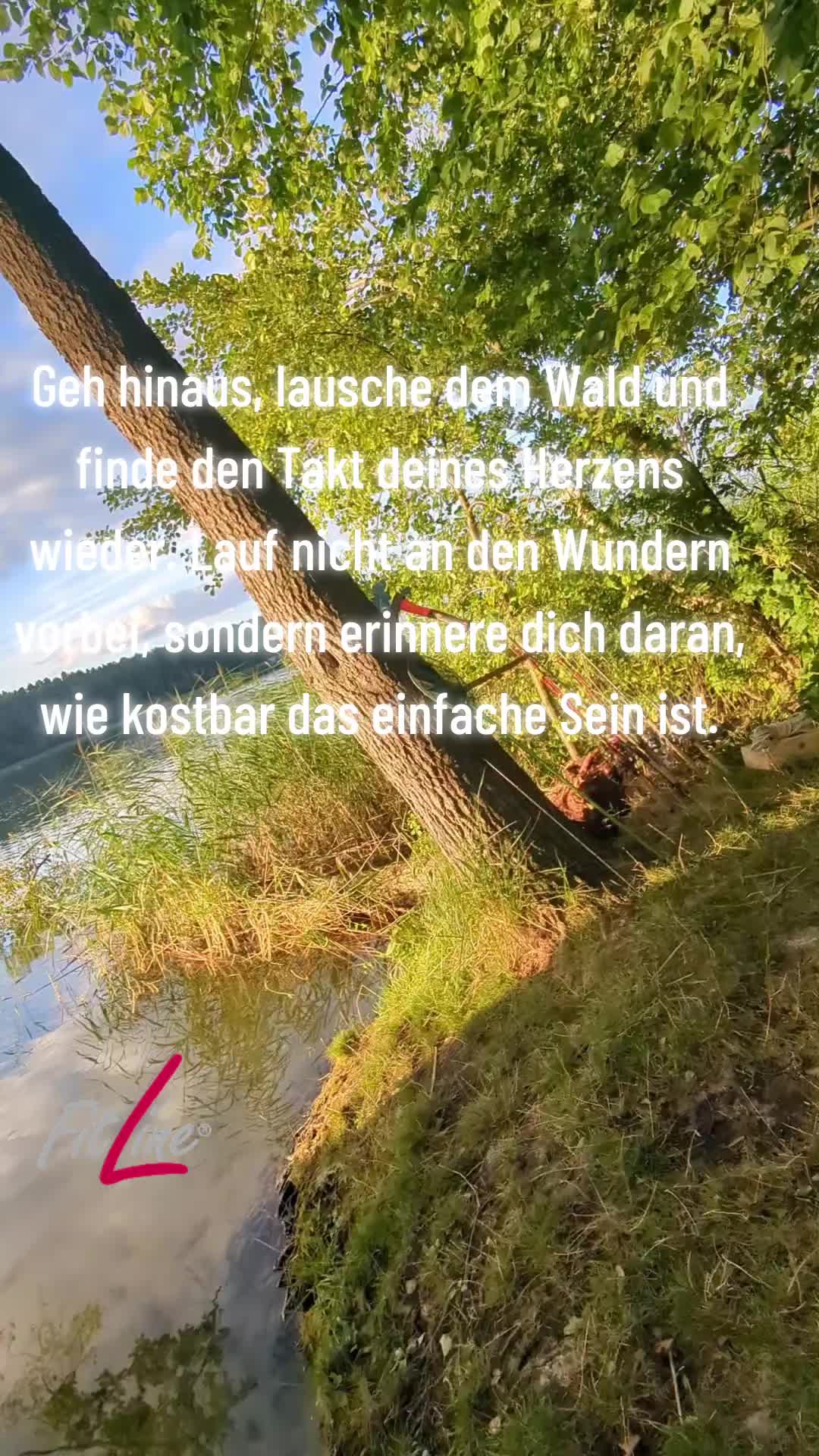 @Christina Müller