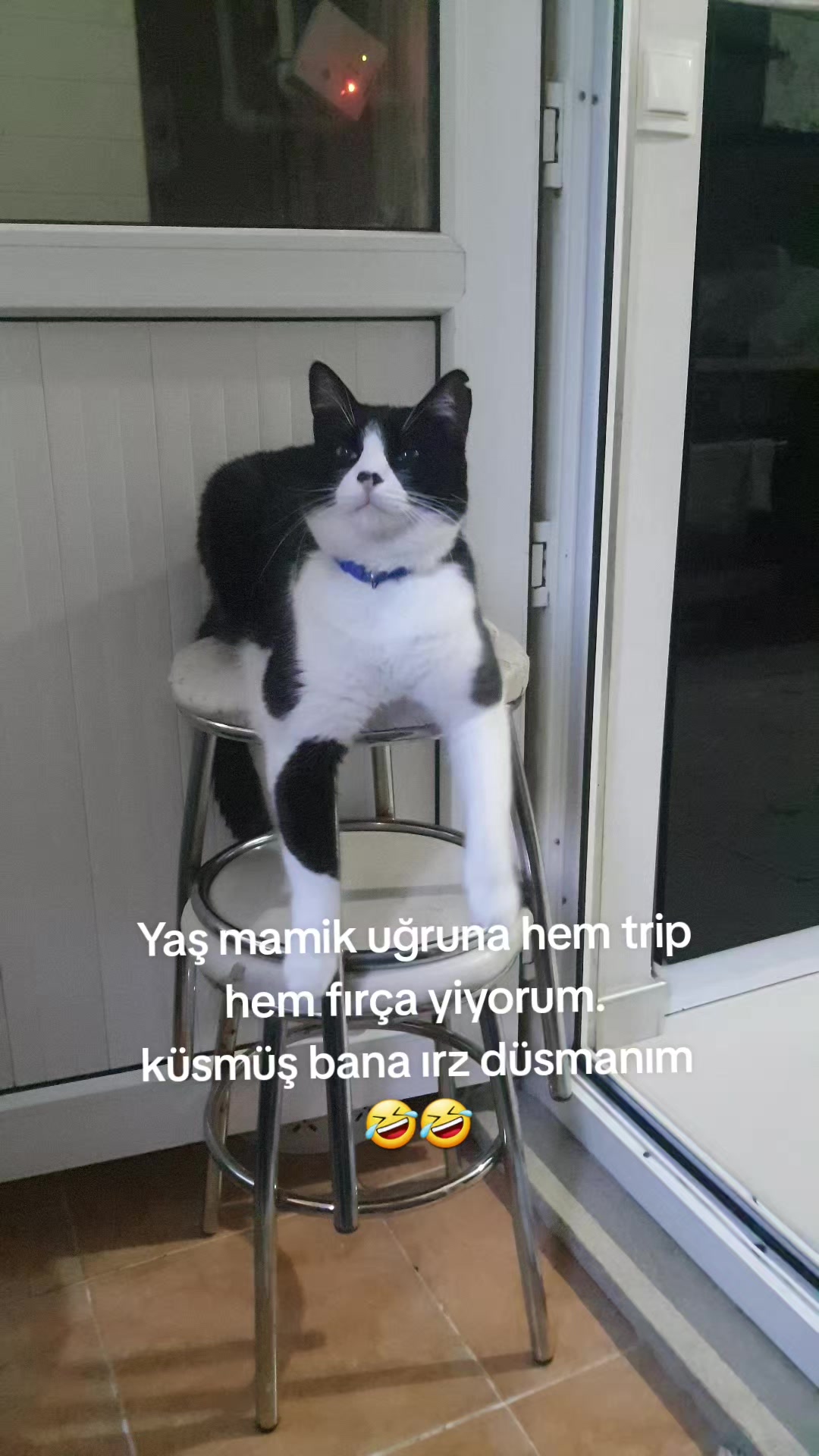 @izmirlibirhanım